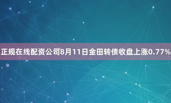 正规在线配资公司8月11日金田转债收盘上涨0.77%