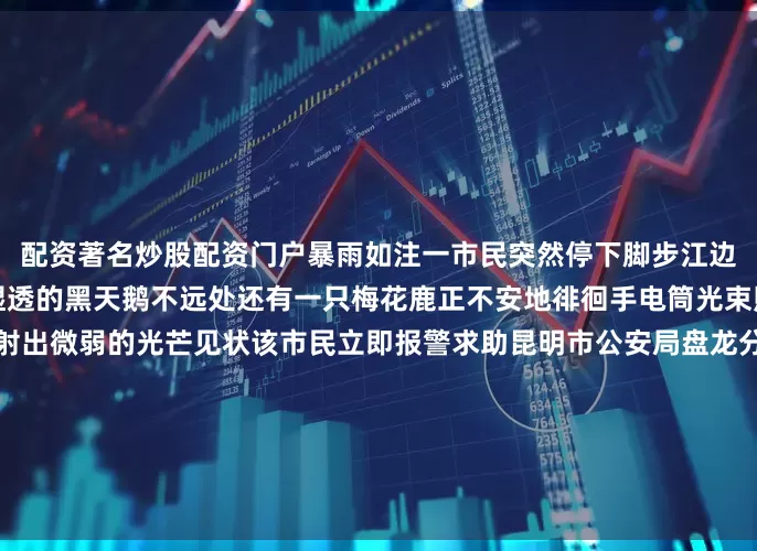 配资著名炒股配资门户暴雨如注一市民突然停下脚步江边草丛中隐约可见一只羽毛湿透的黑天鹅不远处还有一只梅花鹿正不安地徘徊手电筒光束照射下两双惊慌的眼睛反射出微弱的光芒见状该市民立即报警求助昆明市公安局盘龙分局龙头街派出所接到报警后民警带着救助装备赶到现场在手电筒的照明下只见黑天鹅耷拉着脑袋腿部无法站立梅花鹿则警惕地望着四周身上有多处擦伤在夜色中显得尤为无助民警借着灯光小心翼翼靠近生怕惊扰了这两位很快民
