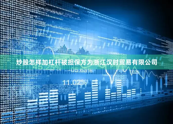 炒股怎样加杠杆被担保方为浙江汉时贸易有限公司