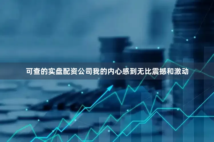 可查的实盘配资公司我的内心感到无比震撼和激动