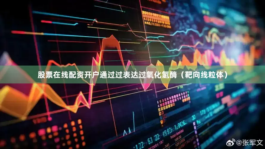 股票在线配资开户通过过表达过氧化氢酶（靶向线粒体）